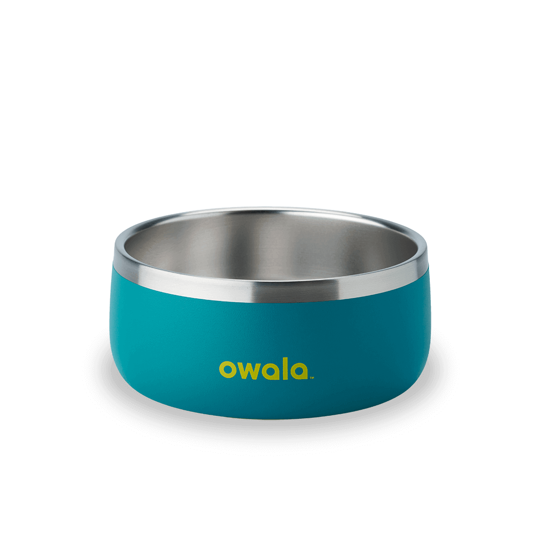 Pet Bowl N2